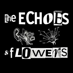 The Echoes and Flowers