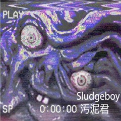 $ludgebo¥