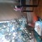 - Awesome dudett