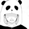 Panda, the boy