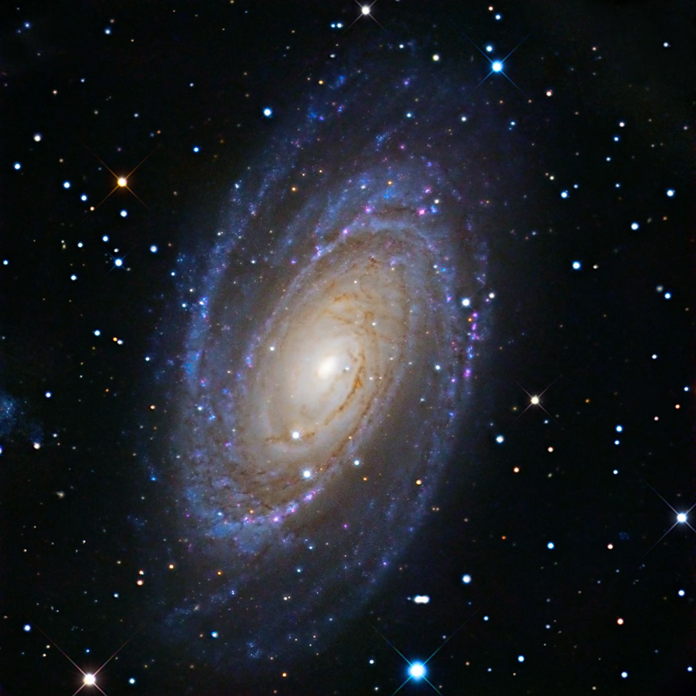 OldManTreasures.net Conversation Series