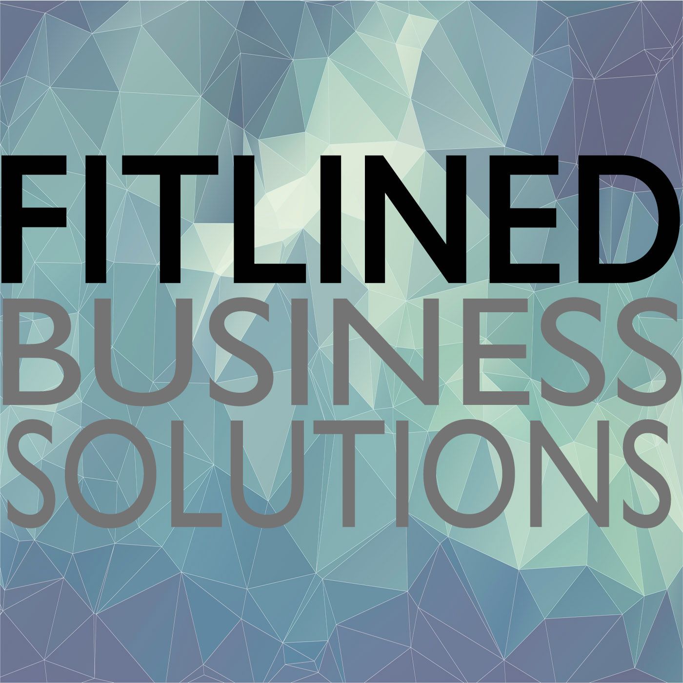Fitlined Business Solutions