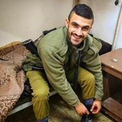 רון חלבי