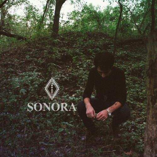 SONORA’s avatar