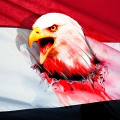 mohamed samir 63