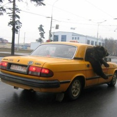 MrJVC