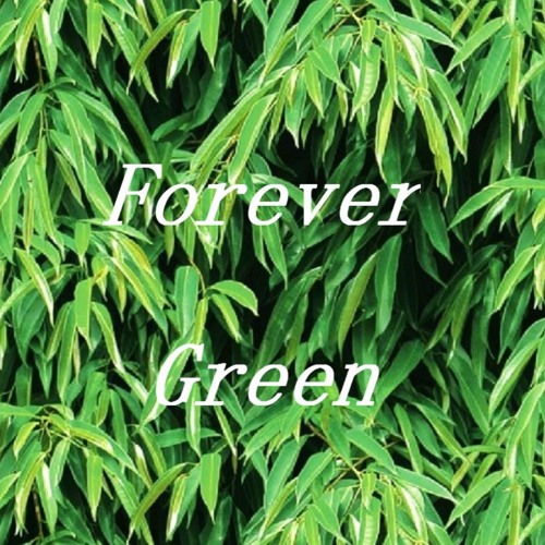 Forever Green’s avatar