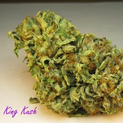 king kusher