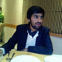 Adeel Bin Ahmed