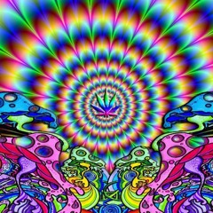 Alexander Lund ॐ