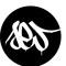 Aesiwo