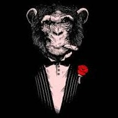 baDMantriPPy!!!