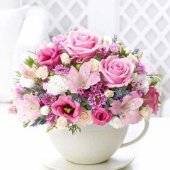 Mimi Contreras Bautis