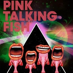 pinktalkingfishband