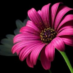 user045142559