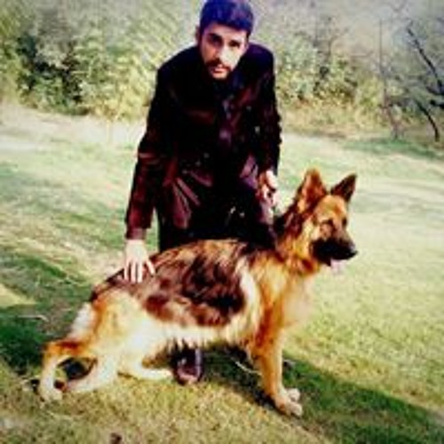 Malik Haroon’s avatar