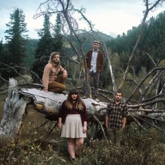 Kitfoxmusic