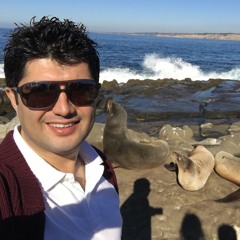 Reza Yazdani