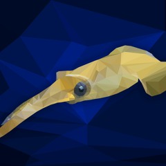Kyle Squid