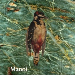 Manoi