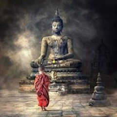Stream Cò's