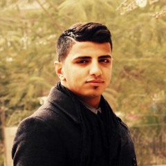 Amr Gamal 6