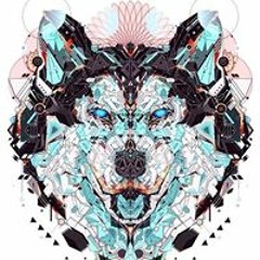 Nguyễn Thanh Trung