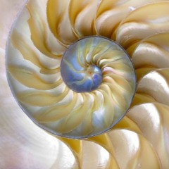 Cristian Carrillo Aroca