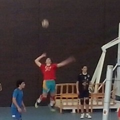 Adrian Alias Segura