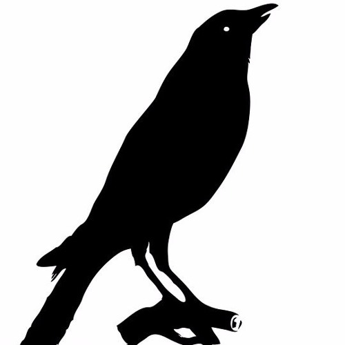 Blind Crow’s avatar