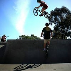Will McAuliffe