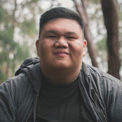 Francisco Domingo Jr