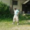Taha Seed
