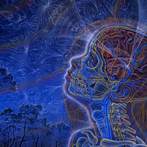 Stream Palms Shortwave Radio W Adam Jones. The Troubadour, Los Angeles