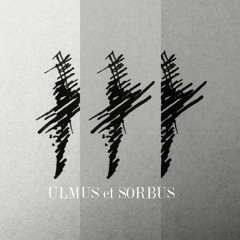 ulmusorbus