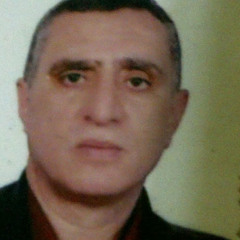 abdelmohsen ahmed