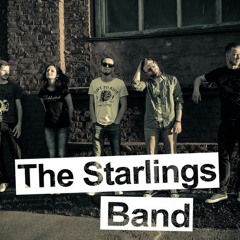 The starlings band адкрый свае вочы