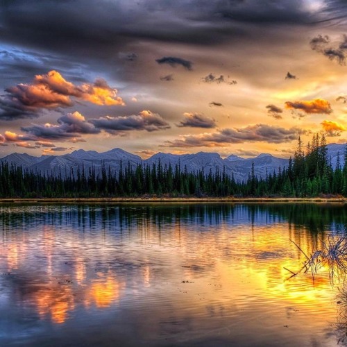 Stino x Mikes Comedy