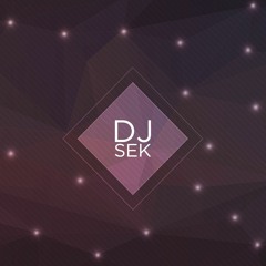 Dj sek