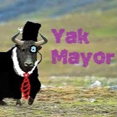 Yakmayor LG