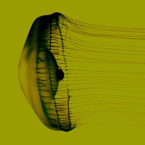 Trust Radio Set 01 Apr 2019