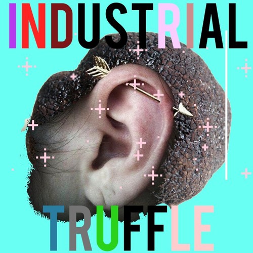 INDUSTRIAL TRUFFLE’s avatar