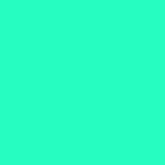 cestmoinoel