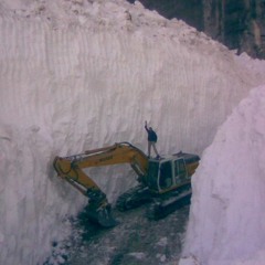 Davide Los Gualos Gualeni