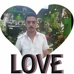 user859785298