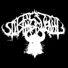 Sturmgeweiht - Der Graue König ( Forseti Cover )