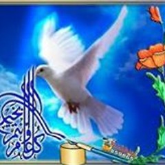 عمر احمد الجنابي