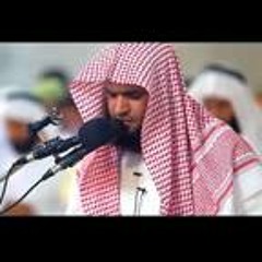 سالم البرعى