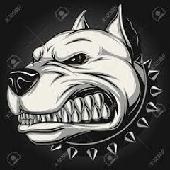andreskamilo8