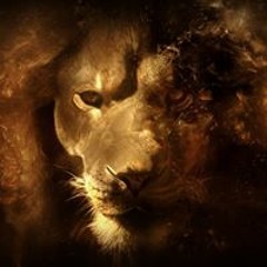 Kéké Le Demerdard Berchel